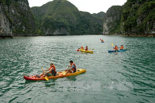 Lên phương án quản lý dịch vụ chèo thuyền kayak trên vịnh Hạ Long